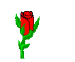 1010c1612595f49c66d8dacaf2661132.gif