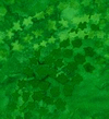 green11.jpg