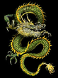 Drakon.jpg