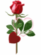 p_48662_48615.gif