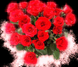 roses.jpg