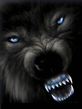 Wolf.jpg