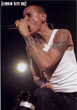 Linkin Park_134.jpg
