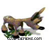 anim_animal2.gif