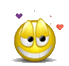 b03008.gif