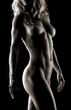 11_02_2008_0517741001202729300_andre_brito.jpg