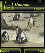 Scr000285.jpg