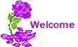 welcome5.gif