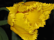 080308097.jpg