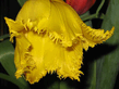 080308134.jpg