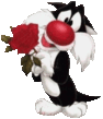 Кот.gif