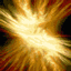 5009909_sm.gif