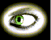 16.gif