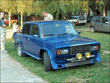 janusz_tali7_117.jpg