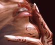 Lips.jpg