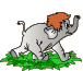m08017.gif