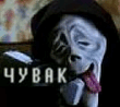 Чувак.jpg