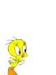 576.gif