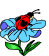 m08034.gif
