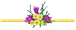 bc1_12_.gif