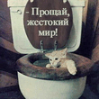 Прощай.jpg
