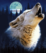 Wolf.jpg