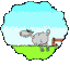 000315.gif
