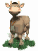 000313.gif
