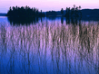 230_1024.jpg