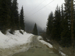 050420081.jpg