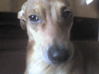 DSC00101.jpg