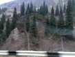 05042008042.jpg