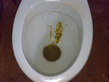DSCOO970.jpg