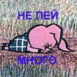 Patachok.jpg