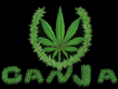 GANJ_.jpg