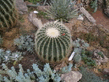 IMGP0701_001.jpg