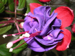IMGP0622_001.jpg