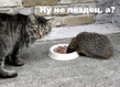 ziza_010.jpg