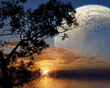 Another_Sunset.jpg