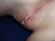 collection_pussy1_102_xxx_38_.jpg