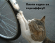 ziza_025.jpg