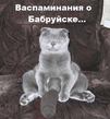 ziza_031.jpg