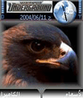 Falcon.jpg