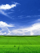 vista2.jpg
