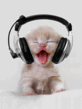 Animation_56.gif
