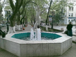 03052008_006__001.jpg