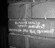 503_5_f.jpg