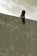 5549_2_f.jpg