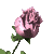 236552.gif