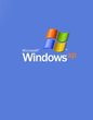 windows.jpg